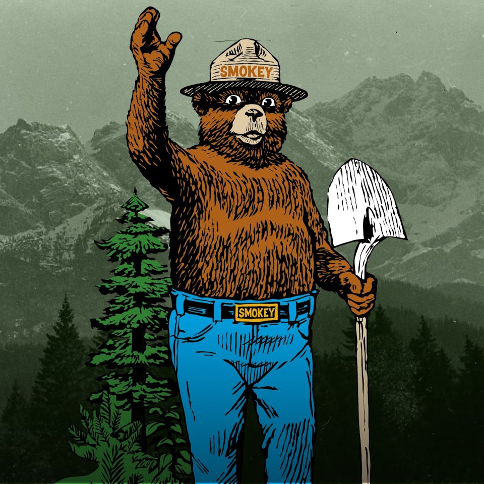 Smokey Bear standing in cartoon landscape
